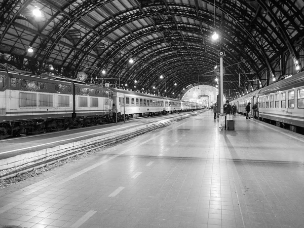 Il diario di un cane Stazione centrale milano