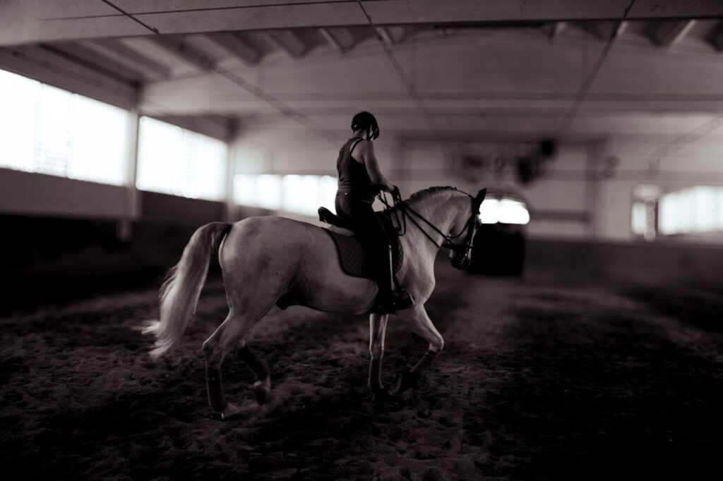 Dressage noir Cavallerizza con cavallo bianco
