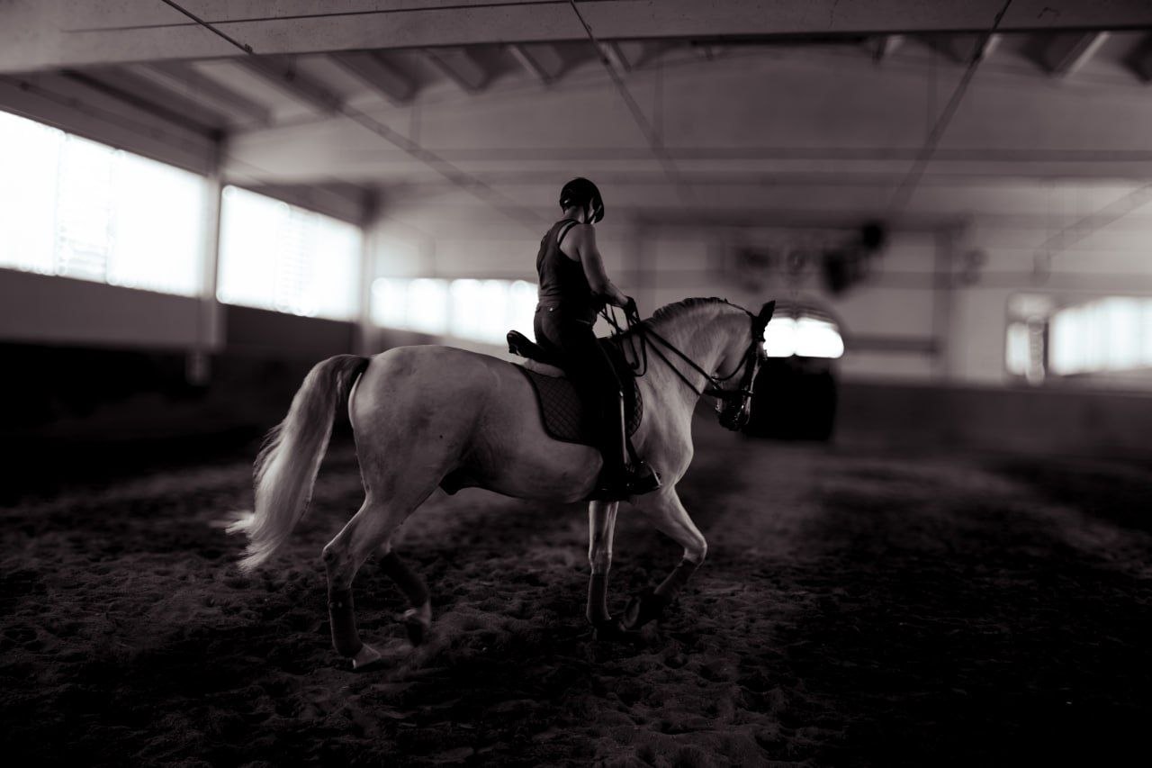 Dressage noir Dressage noir